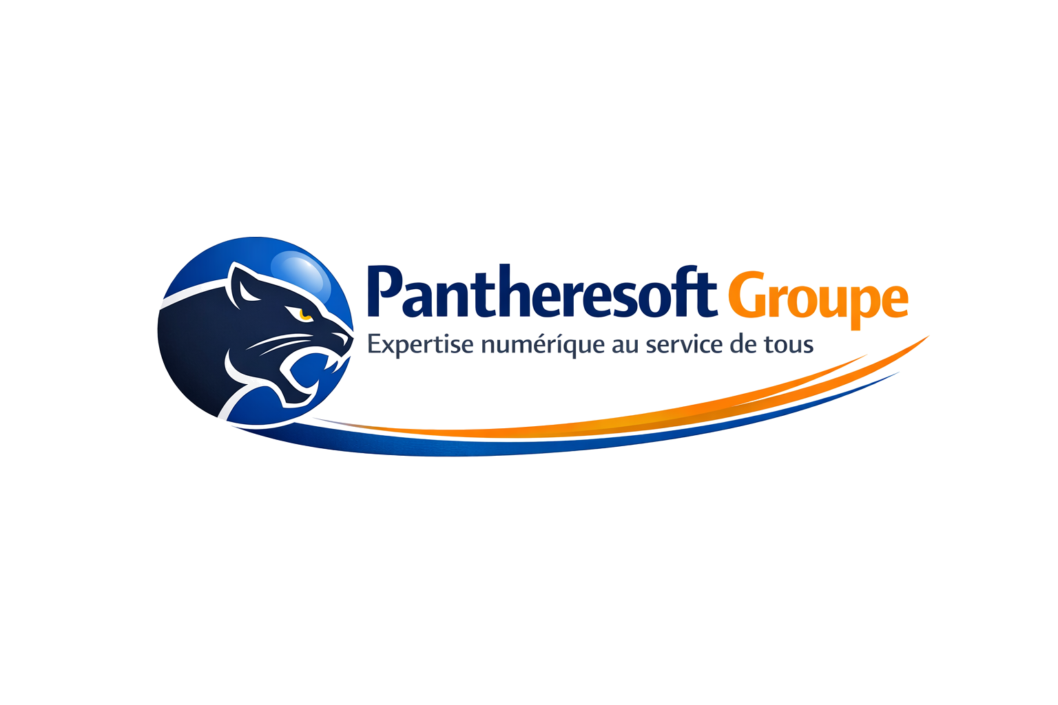 pantheresoftgroupe